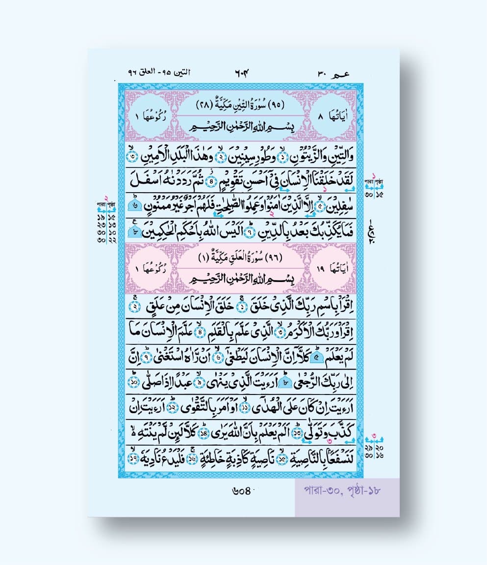 hafezi rexin 04